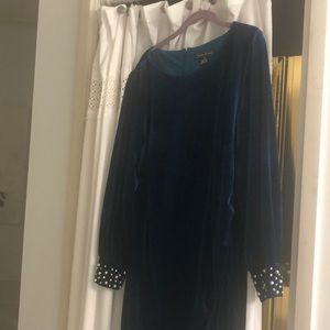 Beautiful velvet dress